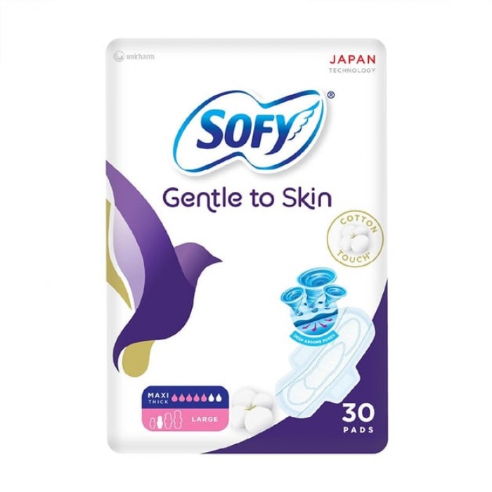 Sofy (Gentle to skin) Large 30'S