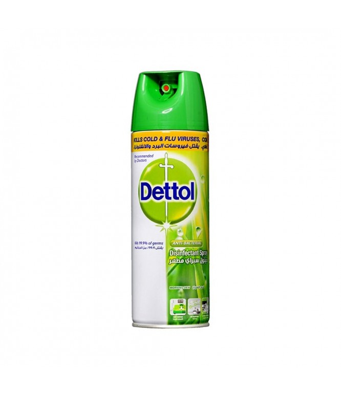 Dettol Morning Dew Fresh Scent Spray 450ML
