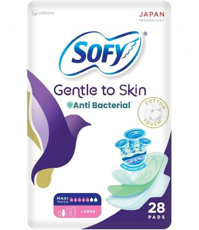 Sofy Anti-Bacterial 28'S