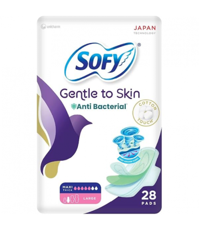 Sofy Anti-Bacterial 28'S