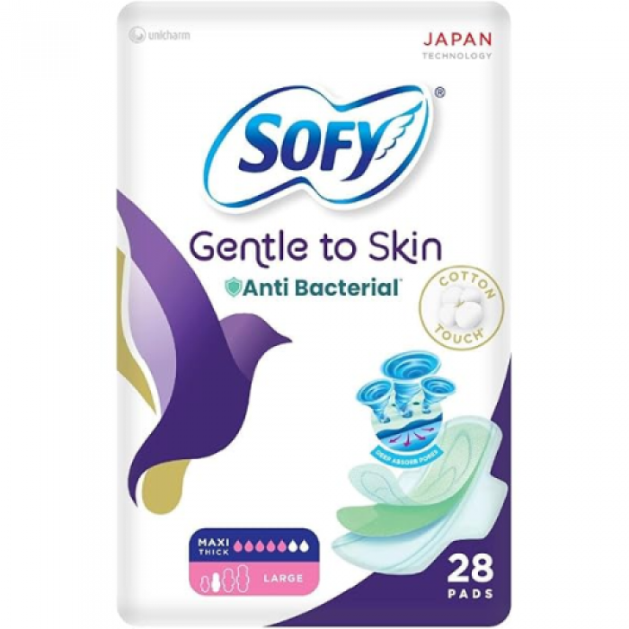 Sofy Anti-Bacterial 28'S