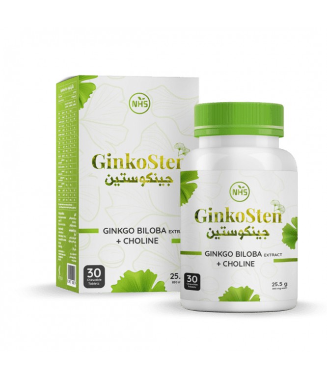 Ginkosten Ginkgo Biloba 100 Mg 30 Tablets