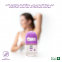 Pure Beauty Deodorant Roll Spring Breeze 50 ml 