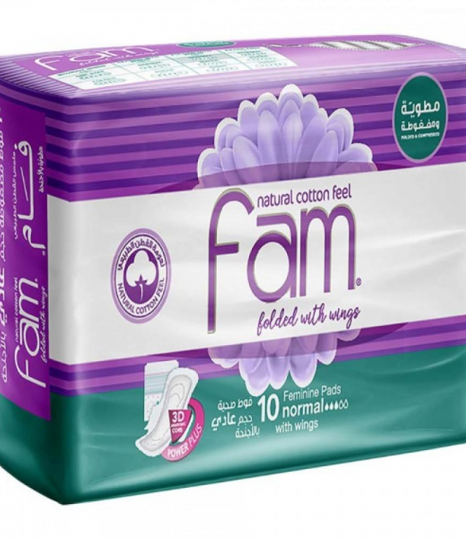 Fam Feminine Pads With Wings 10Pieces