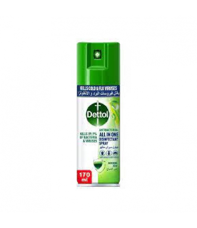 Dettol Antibacterial & Disinfectant Spray Morning Dew 170ml