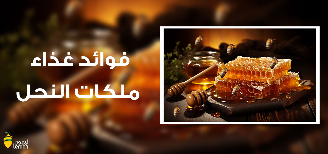 فوائد غذاء ملكات النحل: الطاقة الملكية