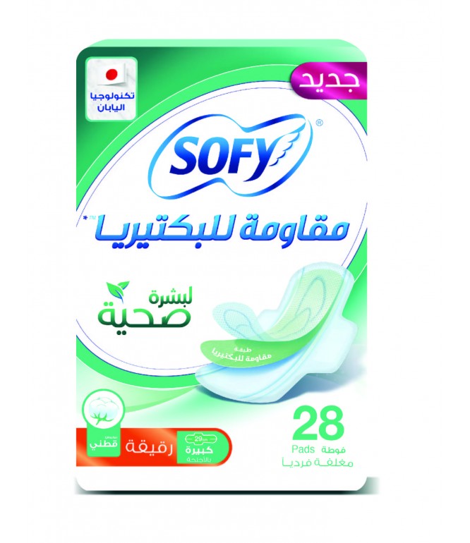 Sofy Anti-Bacterial 28'S