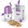 Pure Beauty Deodorant Roll Natural Beauty 50 ml 