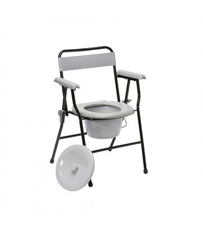 ROC Commode Chair FS-899
