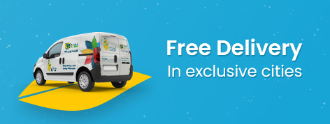 Free delivery in exclusive cities